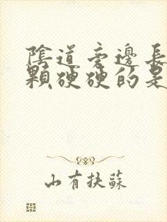 阴道旁边长一个颗硬硬的是怎么回事