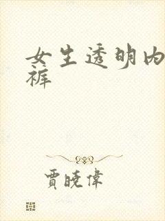 女生透明内衣内裤