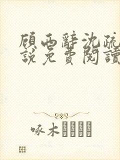 顾西辞沈疏桐小说免费阅读最新章节