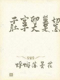 子宫卵巢切除后肚子大是怎么回事