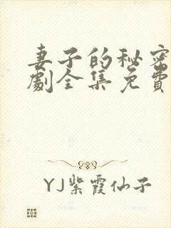 妻子的秘密电视剧全集免费观看