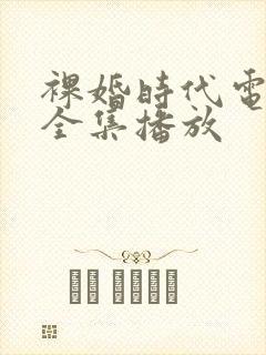 裸婚时代电视剧全集播放