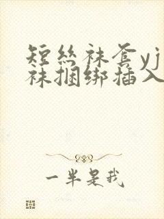 短丝袜套yj丝袜捆绑插入小说小说