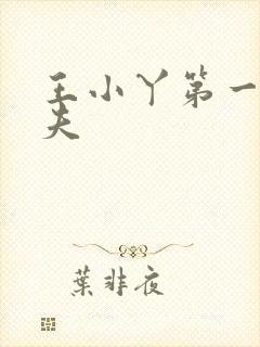 王小丫第一任丈夫