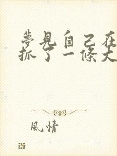 梦见自己在河里抓了一条大鱼