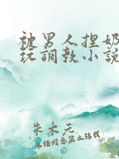 被男人捏奶头着玩调教小说