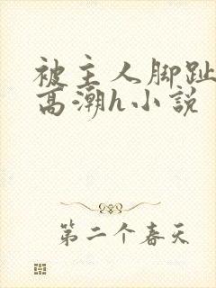 被主人脚趾玩到高潮h小说