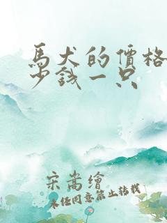 马犬的价格是多少钱一只