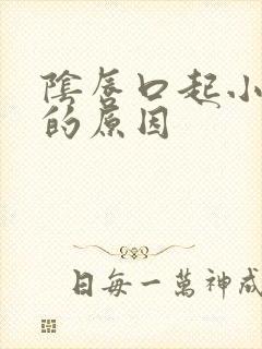 阴唇口起小水泡的原因