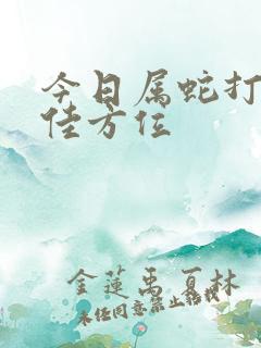 今日属蛇打牌最佳方位