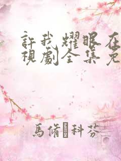 许我耀眼在线电视剧全集免费观看