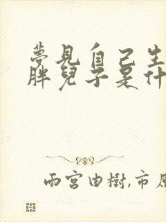 梦见自己生了个胖儿子是什么预兆