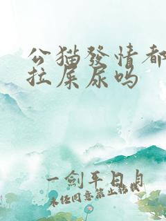 公猫发情都会乱拉屎尿吗