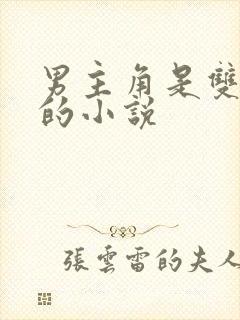 男主角是双胞胎的小说