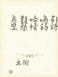 鸟类啼鸣引发悲思愁绪的诗句