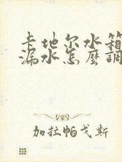 卡地尔水箱不停漏水怎么调