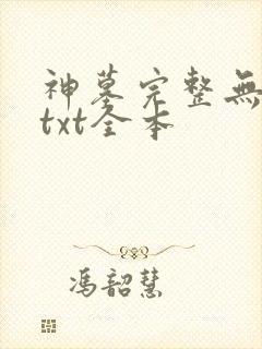 神墓完整无删减txt全本