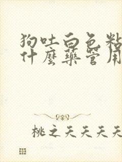 狗吐白色粘液吃什么药管用