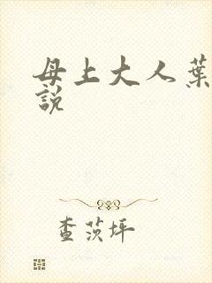 母上大人叶亦小说