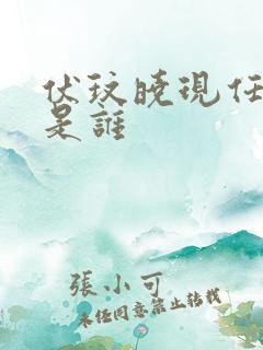 伏玟晓现任老公是谁