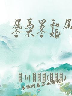 属马男和属蛇女合不合婚