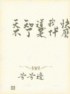 天知道我快要受不了是什么歌的歌词