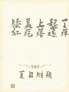 膝盖上起了一片红疙瘩还痒