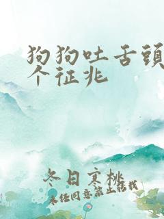 狗狗吐舌头的6个征兆