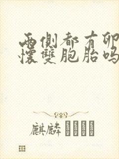 两侧都有卵泡会怀双胞胎吗