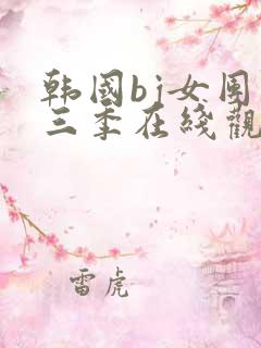 韩国bj女团第三季在线观看