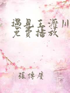 遇见王沥川全集免费播放