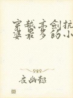 穿越亮剑抗战老婆最多的小说