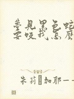 梦见黑色蛇追我要咬我怎么回事