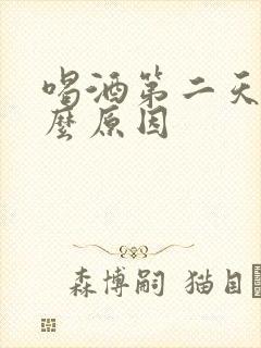 喝酒第二天吐什么原因