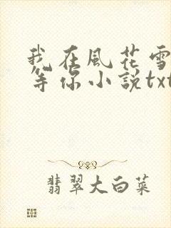我在风花雪月里等你小说txt