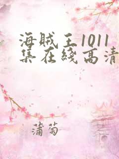 海贼王1011集在线高清免费观看