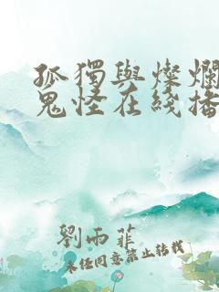 孤独与灿烂的神鬼怪在线播放