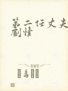 第二任丈夫分集剧情