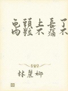 龟头上长了一颗肉粒不痛不痒