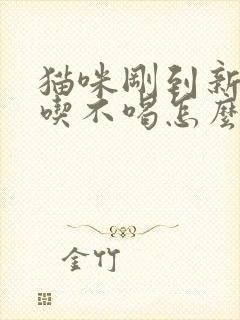 猫咪刚到新家不吃不喝怎么办