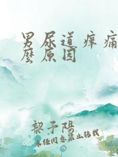 男尿道痒痛是什么原因