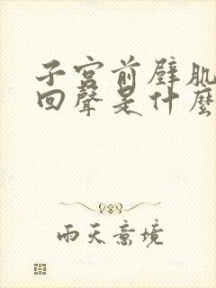 子宫前壁肌层强回声是什么意思