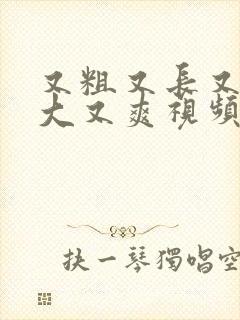 又粗又长又硬又大又爽视频