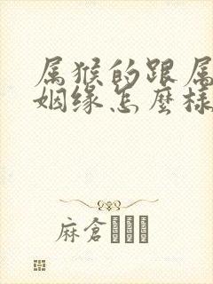 属猴的跟属鸡的姻缘怎么样