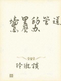 墙里的管道漏水怎么办