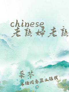 chinese老熟妇老熟女