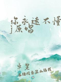 你永远不懂我dj原唱