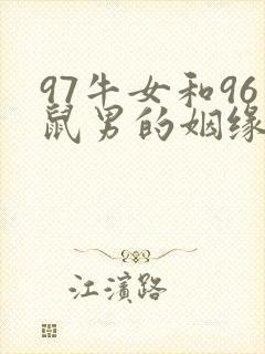 97牛女和96鼠男的姻缘