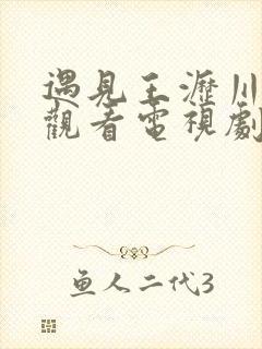 遇见王沥川免费观看电视剧全集