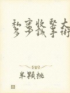 私密收紧大概要多少钱手术费